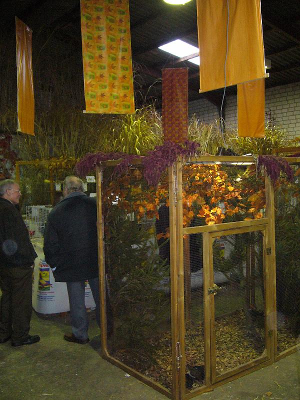 Mastholte 2008 116.jpg - Rassegeflügelschau Mastholte 2008